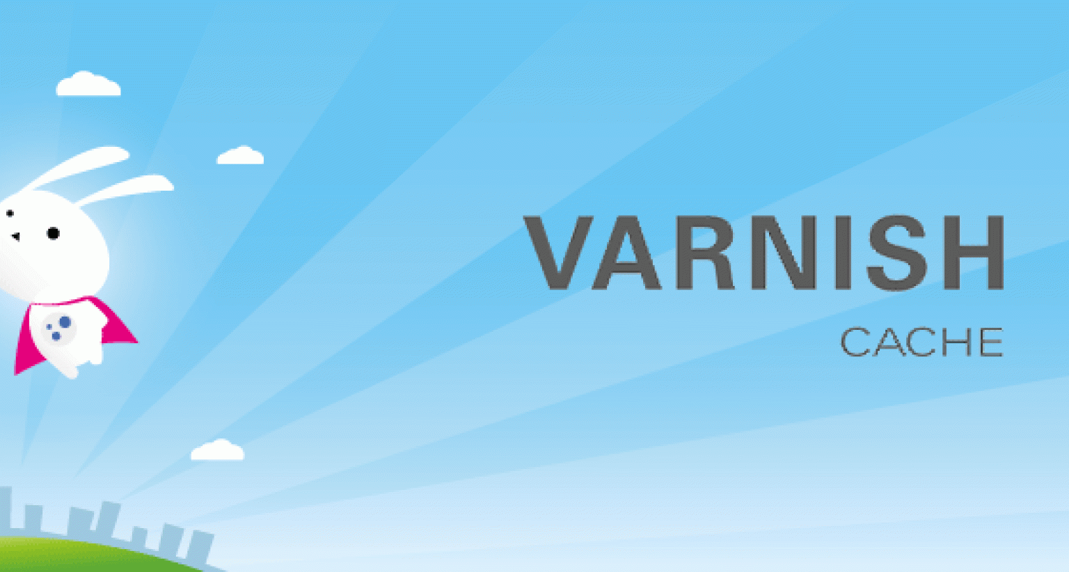 Varnish mit Magento